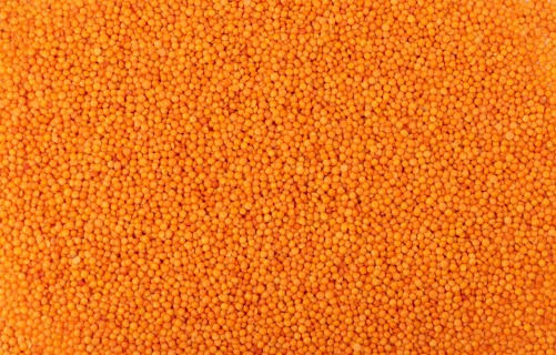 Čočka červená celá 25 kg